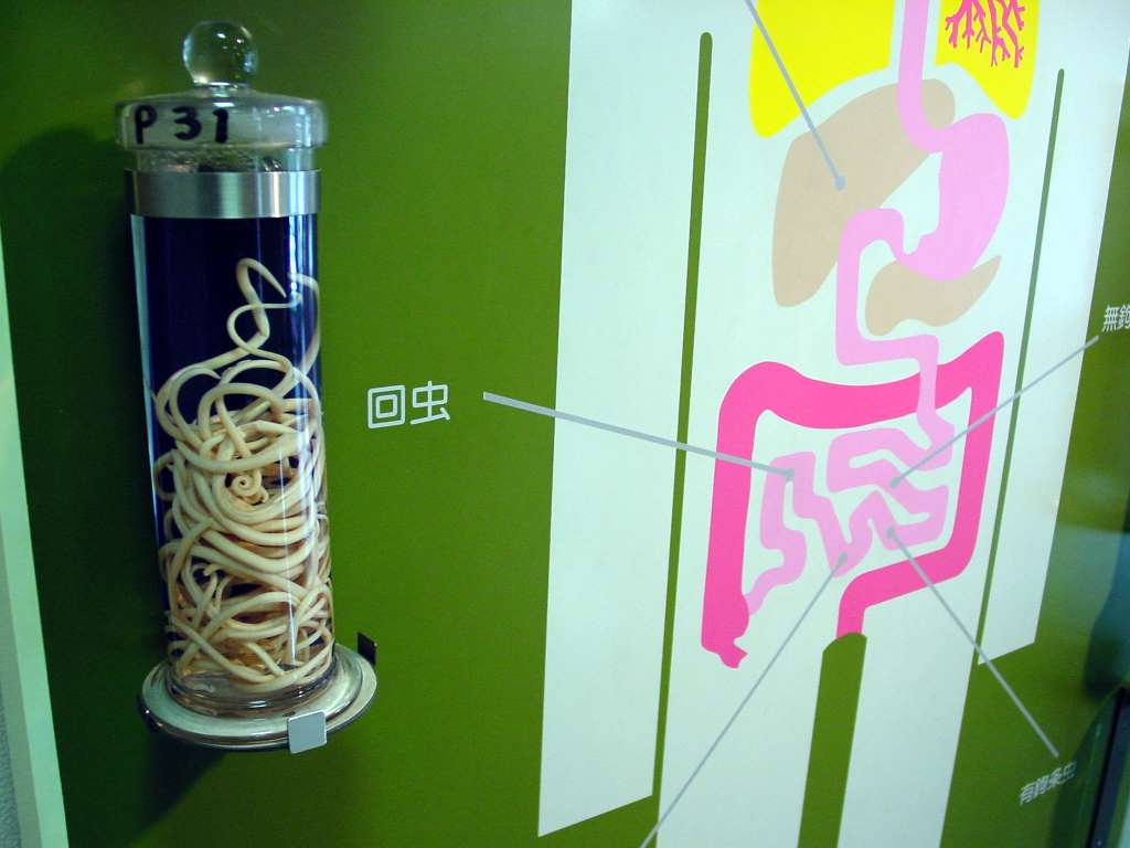 Di Luar Nalar, Museum Ini Nggak Cocok Buat Study Tour